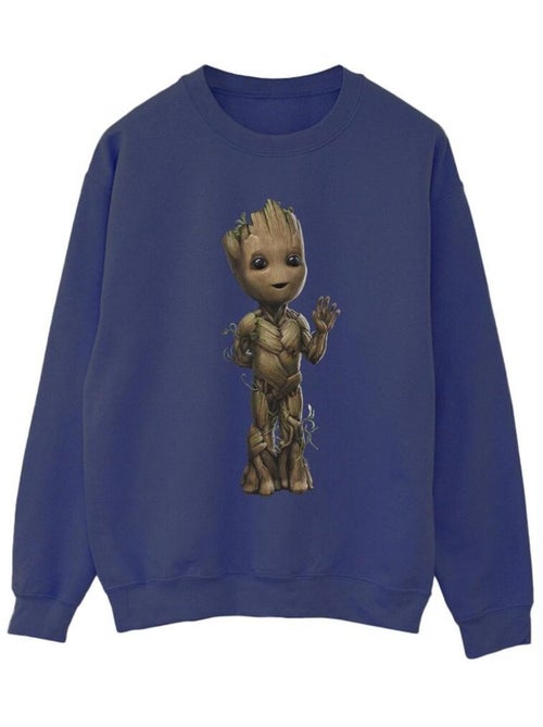Marvel - Sweat AM GROOT - Kiabi