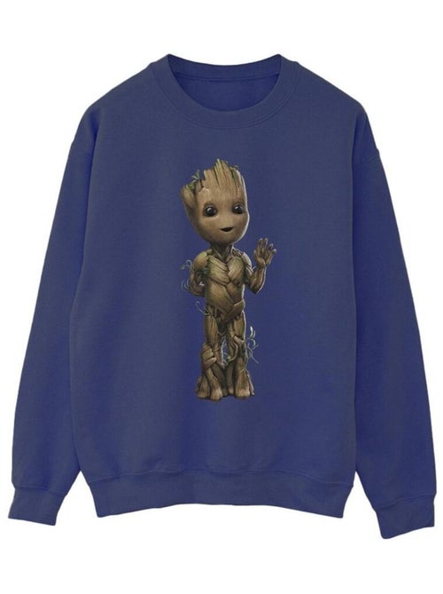 Marvel - Sweat AM GROOT - Kiabi Marvel - Sweat AM GROOT - Kiabi