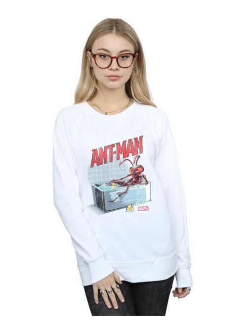 Marvel - Sweat BATHING ANT - Kiabi