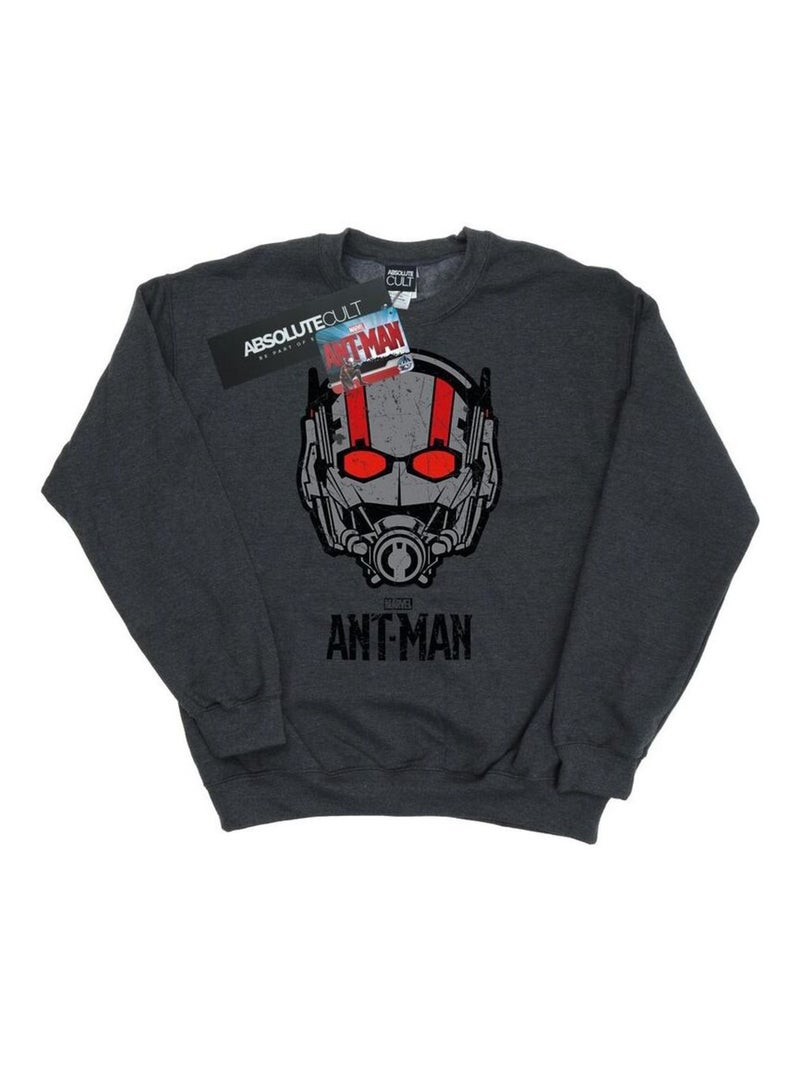 Marvel - Sweat Gris foncé - Kiabi