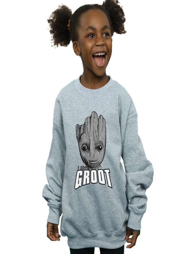 Marvel - Sweat GUARDIANS OF THE GALAXY Gris chiné - Kiabi