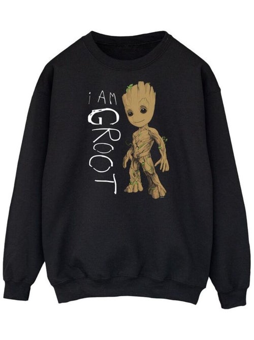 Marvel - Sweat Les Gardiens de la Galaxie AM GROOT - Kiabi