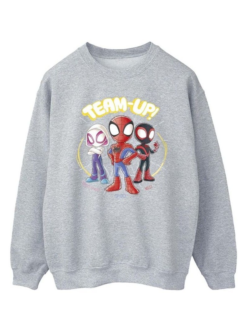 Marvel - Sweat SPIDEY AND HIS AMAZING FRIENDS Gris chiné - Kiabi
