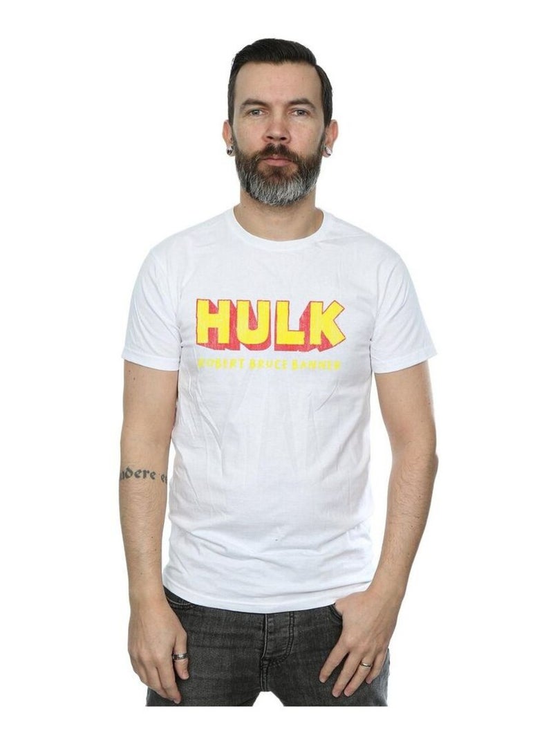 Marvel - T-shirt AKA ROBERT BRUCE BANNER Blanc - Kiabi