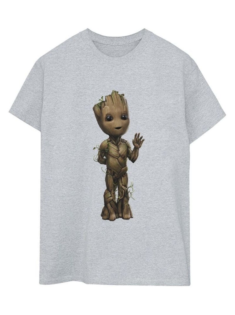 Marvel - T-shirt AM GROOT Gris chiné - Kiabi