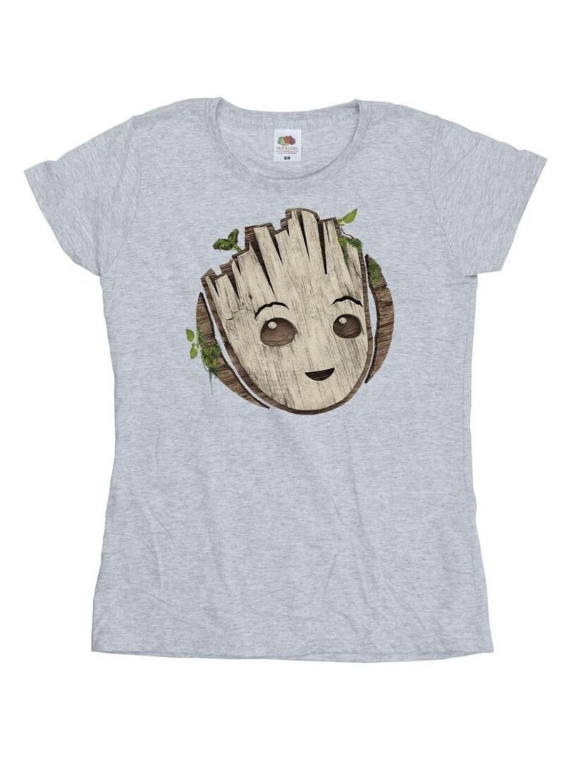 Marvel - T-shirt AM GROOT Gris chiné - Kiabi