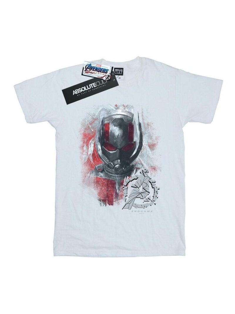 Marvel - T-shirt AVENGERS ENDGAME Blanc - Kiabi