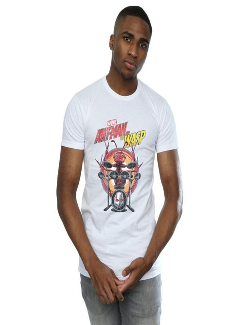 Marvel - T-shirt DRUMMER ANT - Kiabi Marvel - T-shirt DRUMMER ANT - Kiabi