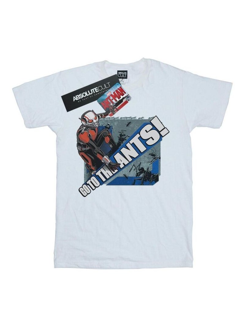 Marvel - T-shirt GO TO THE ANTS Blanc - Kiabi