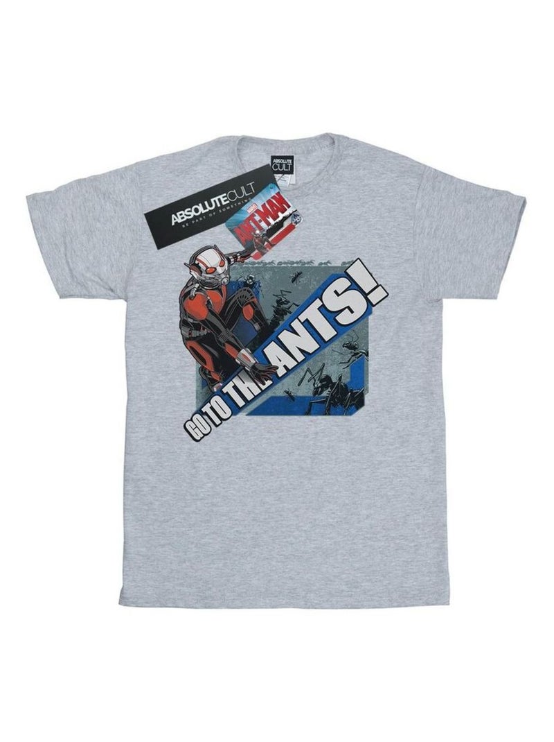 Marvel - T-shirt GO TO THE ANTS Gris chiné - Kiabi
