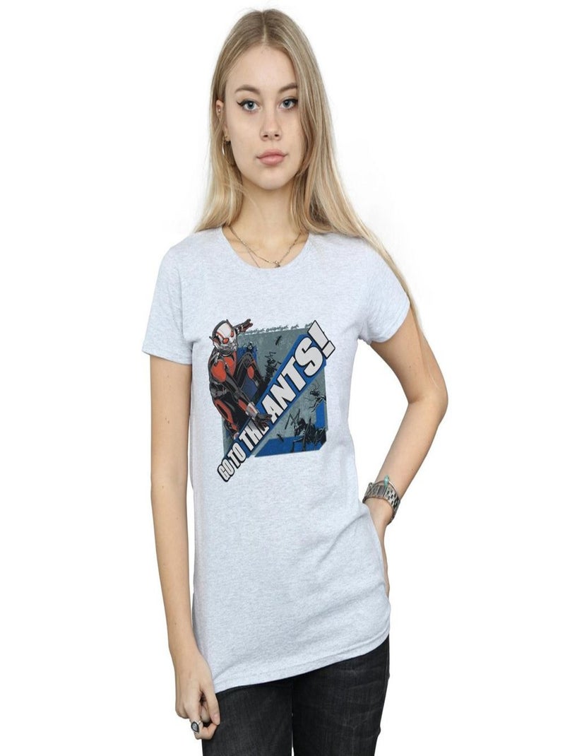 Marvel - T-shirt GO TO THE ANTS Gris chiné - Kiabi