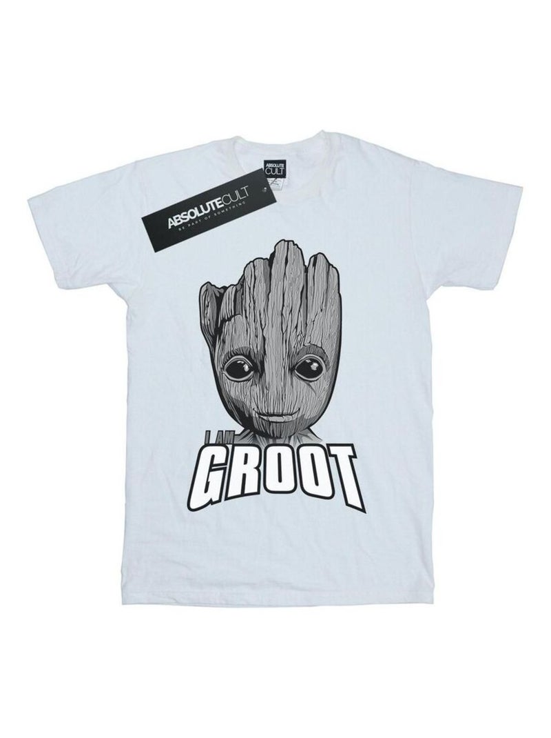 Marvel - T-shirt GUARDIANS OF THE GALAXY Blanc - Kiabi