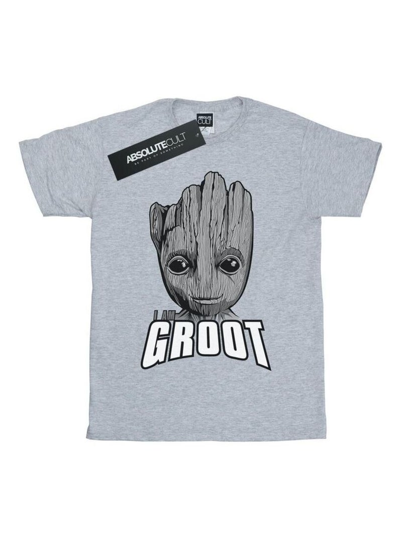 Marvel - T-shirt GUARDIANS OF THE GALAXY Gris chiné - Kiabi
