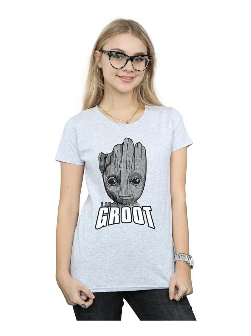 Marvel - T-shirt GUARDIANS OF THE GALAXY Gris chiné - Kiabi