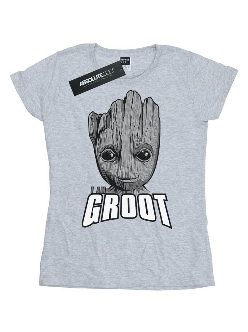 Marvel - T-shirt GUARDIANS OF THE GALAXY Gris chiné - Kiabi
