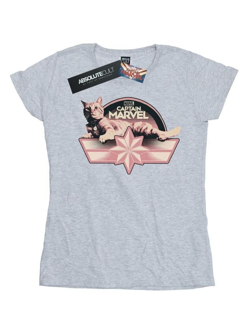 Marvel - T-shirt motif Captain Marvel et Goose CHILLIN GOOSE Gris chiné - Kiabi