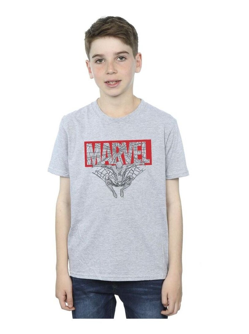 Marvel - T-shirt SPIDER MAN Gris chiné - Kiabi