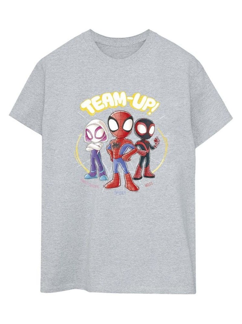 Marvel - T-shirt Spidey et ses amis extraordinaires Gris chiné - Kiabi