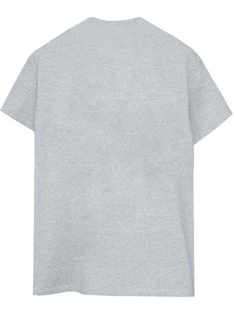 Marvel - T-shirt Spidey et ses amis extraordinaires Gris chiné - Kiabi