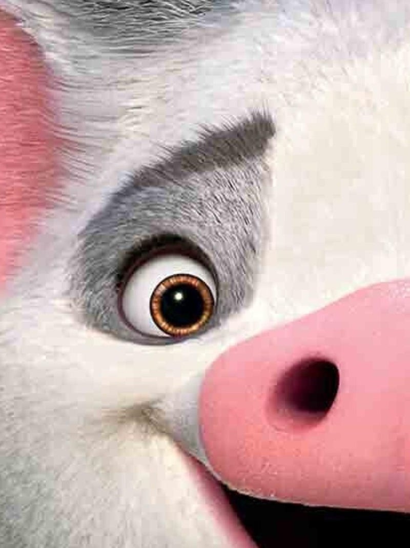 Masque en carton pua pig - disney vaiana la légende du bout du monde  27 cm Multicolore - Kiabi