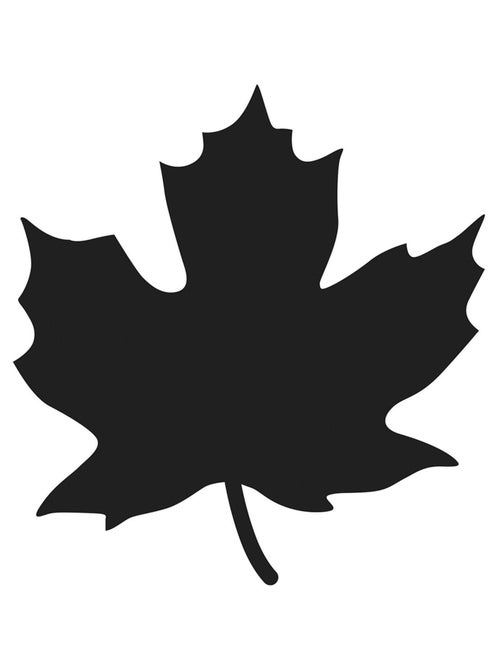 Matrices de découpe - Feuille d'érable - Artemio - Kiabi