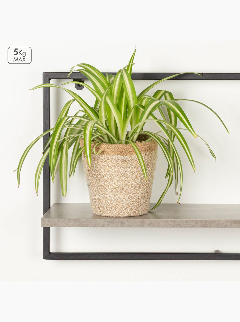 Max home etagère murale effet ciment 1 étagère 65x20x35 cm Bois naturel - Kiabi