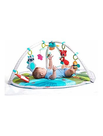 Meadow Days Dynamic Gymini