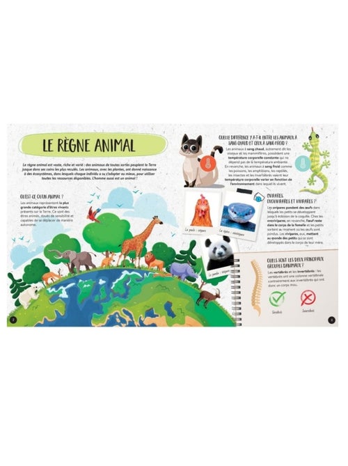 Méga Atlas des Animaux - Kiabi