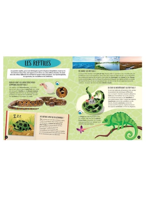 Méga Atlas des Animaux - Kiabi