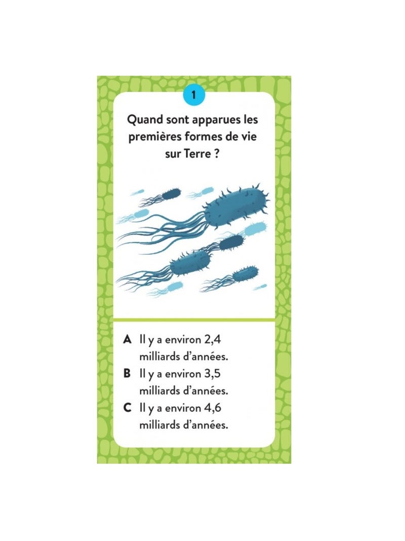 Méga Atlas des Dinosaures N/A - Kiabi