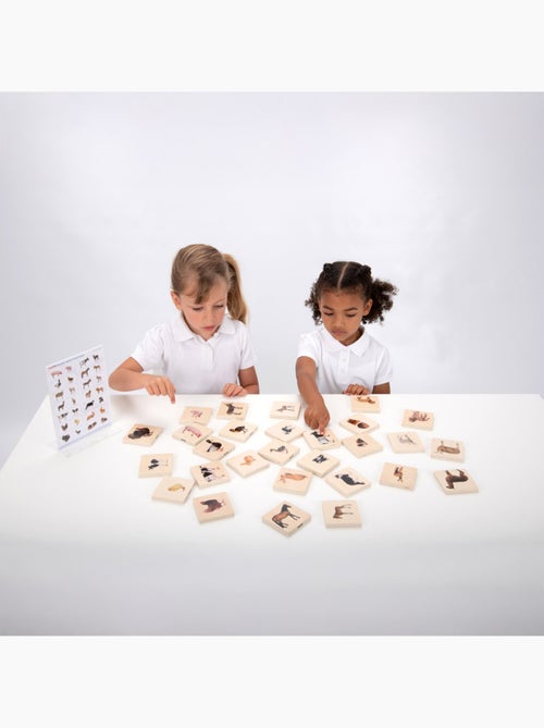 Memory animaux domestiques - Kiabi