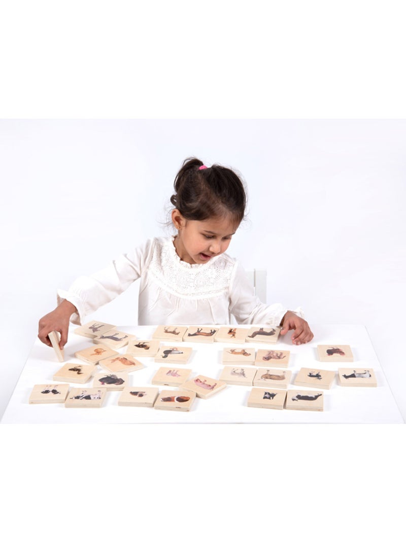 Memory animaux domestiques Multicolore - Kiabi