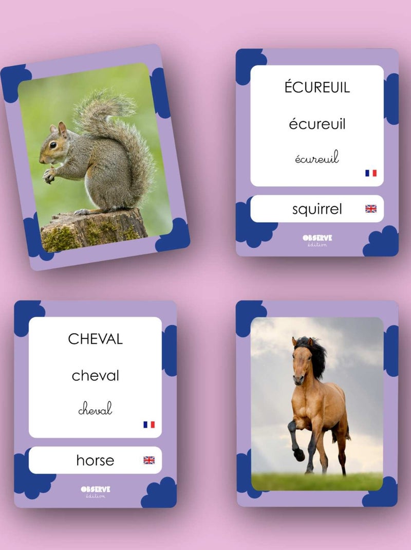 Mes 40 premiers mots: Animaux Blanc Multicolore - Kiabi
