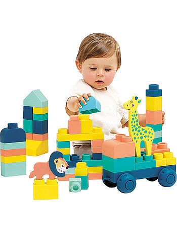 Mes premières constructions briqui ludi