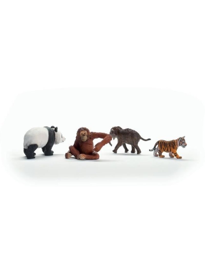 Mes premiers animaux d'asie, figurines d'animaux, schleich 42736 wild life, dès 5 ans Marron - Kiabi
