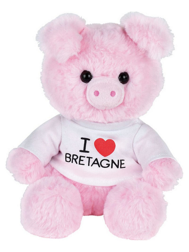 Message bretagne peluche cochon  et  22cm i love bretagne Multicolore - Kiabi