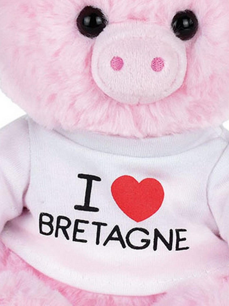 Message bretagne peluche cochon  et  22cm i love bretagne Multicolore - Kiabi