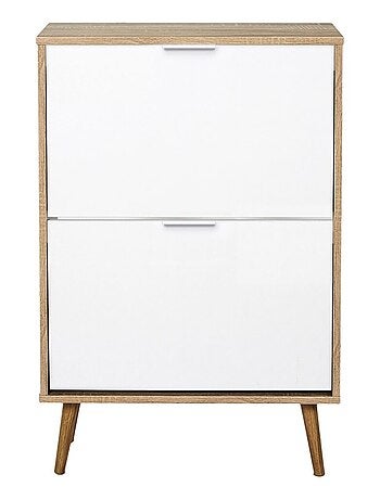 Meuble à chaussures 2 portes