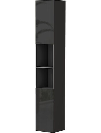 Meuble colonne salle de bain 2 portes étagères 2 niches façade laquée