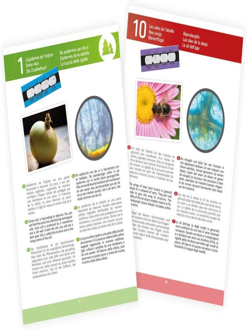 Microscope 15 expériences - Kiabi