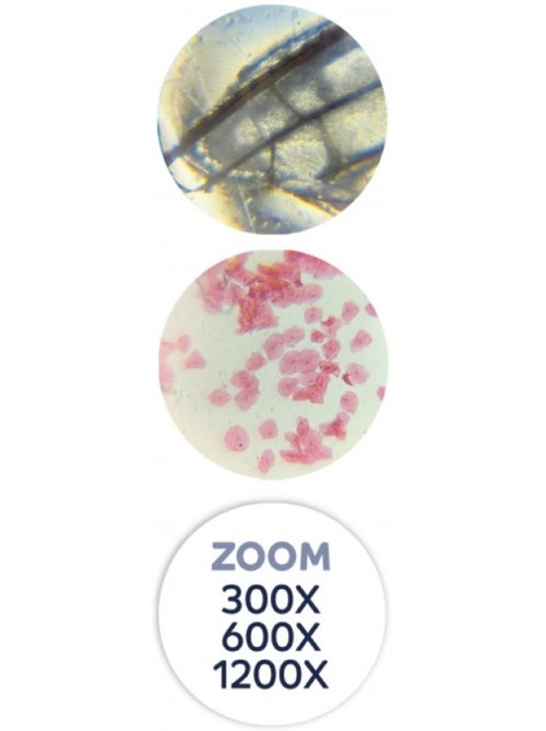 Microscope 40 expériences - Kiabi