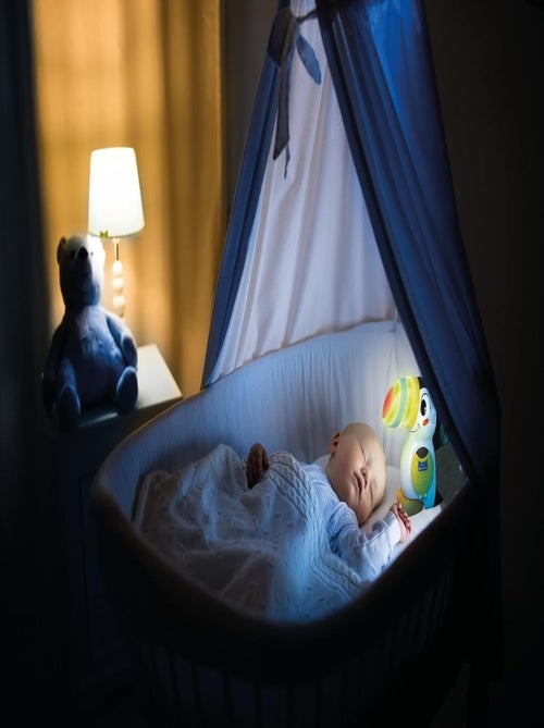 Milan, Le Toucan Gourmand - Clementoni - Kiabi