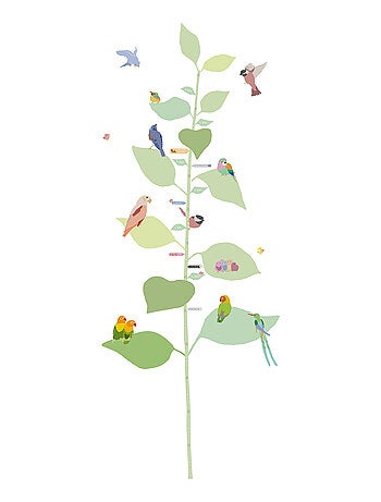 Mimi'lou - Toise With the birds
