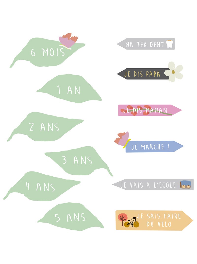 Mimi'lou - Toise With the birds Vert - Kiabi