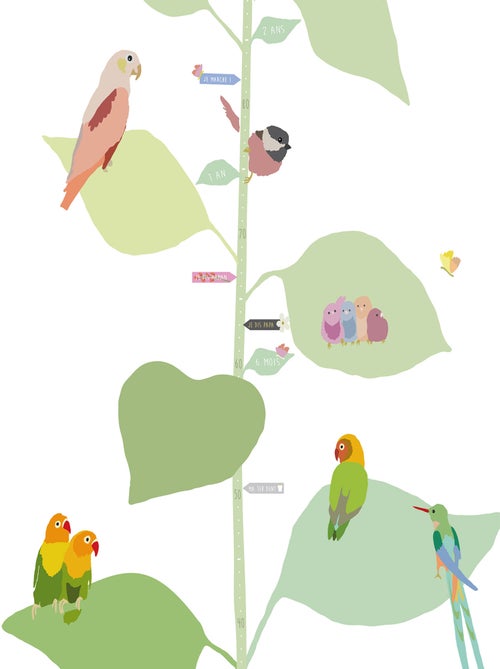Mimi'lou - Toise With the birds - Kiabi