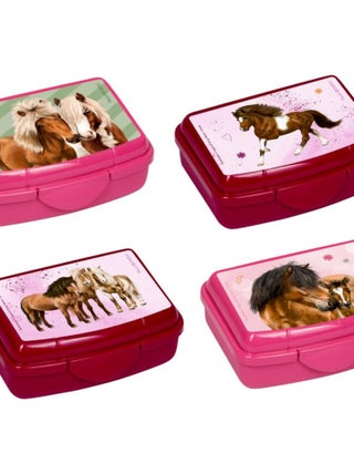 Mini boîte à goûter - Amis des chevaux