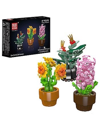 Mini fleurs en pot