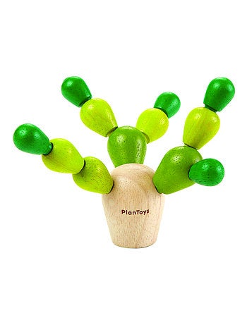 Mini mikado cactus