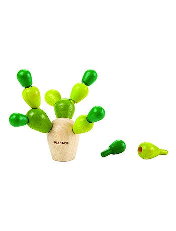 Mini mikado cactus