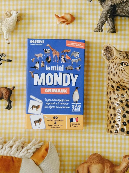 Mini-mondy - 90 cartes animaux - langage - Kiabi